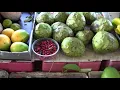 Hilo Farmers Market