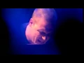 Download Lagu Esbjörn Svensson Trio - Live in Stockholm 2003