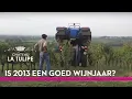 Oogst 2013 - une bonne annee?