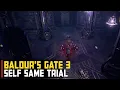 Self-Same Trial Baldur s Gate 3