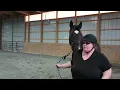 Cheery Acres March 2023 - In Hand Dressage Brandi Sturdivant Kupid Shuffle