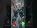 Download Lagu #irringtone #cat #ringtone #funny #cutecat #cute #foryou #iphonerigtone #iphoneringtones