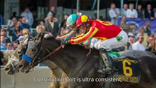 Equibase Analysis Nysos Looks Ready To Shine In Pacific Classic