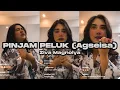 Download Lagu Pinjam Peluk (Agseisa) - Ziva Magnolya | Live IG