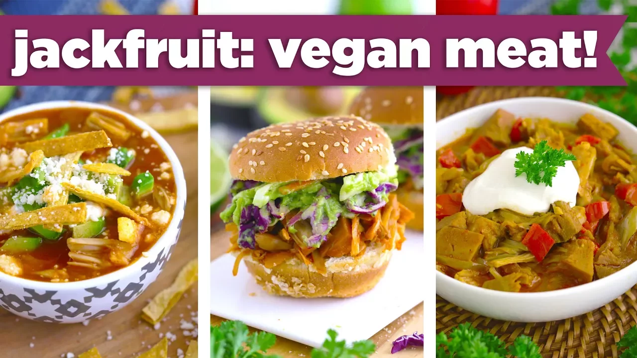 Healthy Jackfruit Recipes - Vegan Pulled Pork, Curry & Tortilla Soup!? - Mind Over Munch