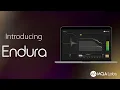 Introducing Endura Instructional Plugins MQA Labs