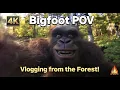 Download Lagu Step into the wild through the eyes of a real Bigfoot! 🦶📹