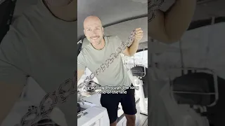 Try this KNOT HACK to shorten & store LINES on a #sailing BOAT | #boatlife