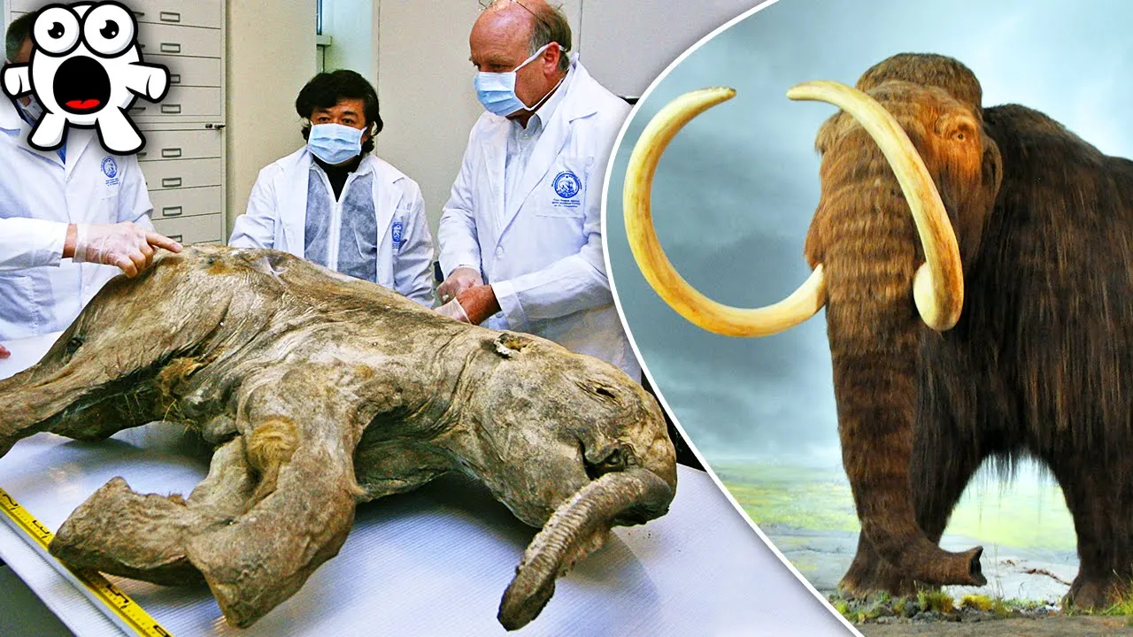 To Save The World Scientists Are Bringing Back The Mammoth