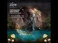 Chinonegro - Cross My Mind (Nas Elmes Remix) [LAGUNA RECORDS]