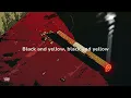 wiz khalifa - black and yellow [ slowed + reverb ] (lyrics)