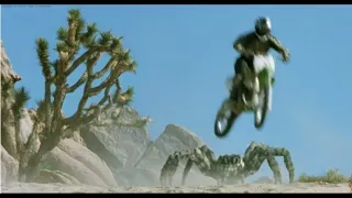 eight legged freaks 2002 chased by giant spiders