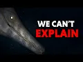 The Most Terrifying Ocean Cryptids That Might Actually Exist