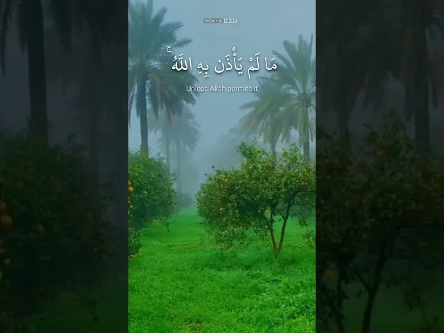 ⁣{ أمۡ لهُم شُرَكَـٰۤؤُا۟ شَرَعُوا۟ لَهُم مِّنَ ٱلدّینِ ما لَم یَأۡذَنۢ بِهِ ٱللَّهُ .. || اسلام صبحي