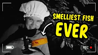 Do NOT eat Surströmming at 3AM