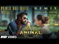 Lagu Pehle Bhi Main | REMIX | DJ MITRA | Ranbir Kapoor | Tripti Dimri | Vishal Mishra | Folk House