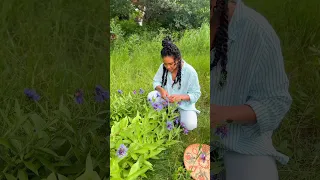 Eat This For Clear Skin, Long Hair & Healthy Gutt