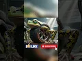 Download Lagu SIGMA BOY x BRAINROT EXTINCTION RACING SUPERCARS 4