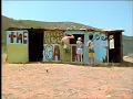 TODAY IS THE DAY 🌊🏄🌊 Yo la tengo (lyrics/subtitles)