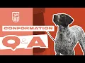 UKC Dog Conformation Q A United Kennel Club