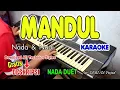 Download Lagu MANDUL KARAOKE Nada \u0026 Nadi I  Nada Duet I Orgen Tunggal