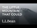 The Little Mountain That Could L L Bean