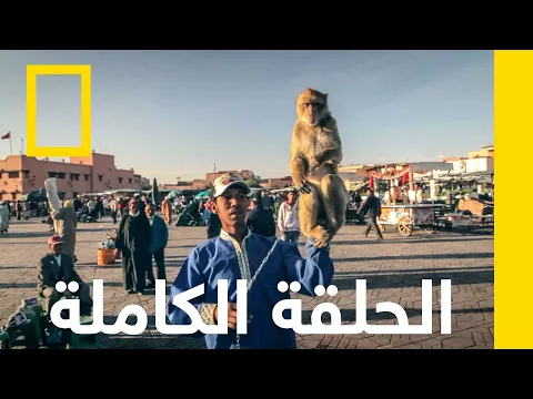 فيديو مراكش | مدينة الإحتيال | ناشونال جيوغرافيك أبوظبي