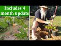 How To Plant Grape Vines at Home in the Back Yard