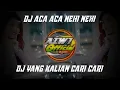 Download Lagu DJ ACA ACA NEHI NEHI KOPLO REMIX VIRAL TIKTOK TERBARU 2021