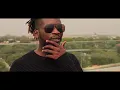 Mr Eazi - The Don (Announcement Video)