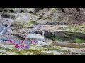 Download Lagu Cotton fields (CCR) ❤️ (한쌤) Altosaxophone Cover by ms.H