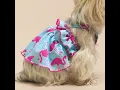 Fresh Summer Vibes with Fitwarm s New In Dog Clothes
