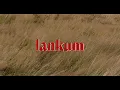 Lankum - The Wild Rover (Official Video)