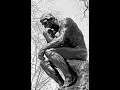 Download Lagu Destroy Lonely - if looks could kill instrumental (slowed)