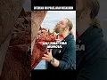 Download Lagu Hiu Megalodon Raksasa Makan Kapal dan Pria Gemuk! #alurceritafilm #film #shorts