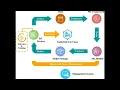 Deploying Machine Learning on Microcontrollers A Complete Guide to TinyML and Edge AI