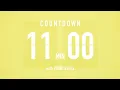 11 Minute Countdown Timer Flip Clock with Piano Beeps