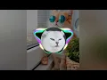Download Lagu DJ DIMANA KAMU KESAYANGANNYA AKU X PAK CEPAK CEPAK JEDER TIKTOK VIRAL TERBARU 2021 FULL BASS🎵🎶