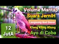 Lagu Trucukan Bonang Asli / trucuk gacor  singing bird