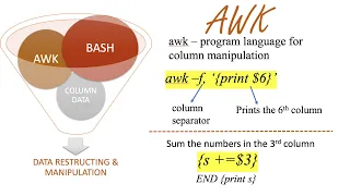 Bash Scripting - Column data extraction