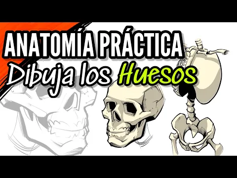 Download MP3 CÓMO DIBUJAR LOS HUESOS / ANATOMÍA HUMANA / TUTORIAL DE DIBUJO / CURSO DE DIBUJO / #dibujo #arte