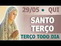 Download Lagu TERÇO DE HOJE 29/05/2025 - QUINTA-FEIRA - MISTÉRIOS LUMINOSOS: SANTO TERÇO MARIANO | Oração Diária