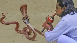                                                                           دندنها