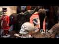 Marlene Miller Antiques an Antique Stores in Melbourne offering Antique