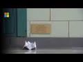 Small moments Big impact Teacher Appreciation Week 2025