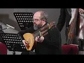 Vivaldi: Lute Concerto in D major, RV 93 - Darko Karajić (archlute) and New Trinity Baroque