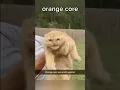 Download Lagu orange cat core 😭 #cat #core #meme #memes #orangecat