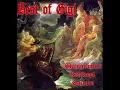 Download Lagu Stahlgewitter- Auftrag Deutsches Reich