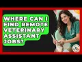 Where Can I Find Remote Veterinary Assistant Jobs Animal Care Jobs