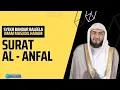 Lagu Surat Al Anfal - Syekh Bandar Baleela #murottal #murottalmerdu #murottalquran